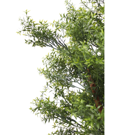Eucalyptus artificiel cinq troncs