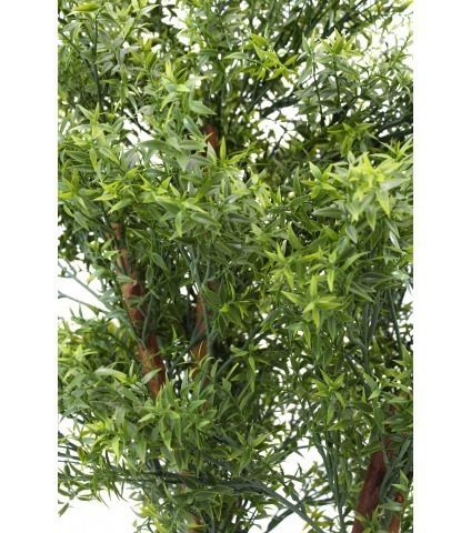 Eucalyptus artificiel cinq troncs