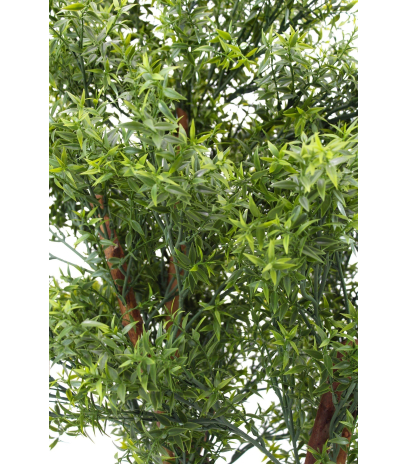 Eucalyptus artificiel cinq troncs