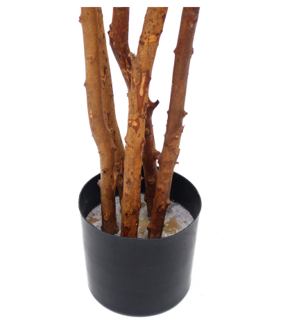 Pot