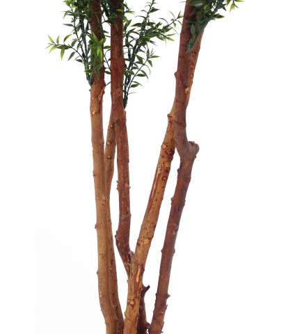 Eucalyptus artificiel cinq troncs