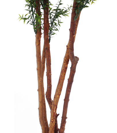 Eucalyptus artificiel cinq troncs