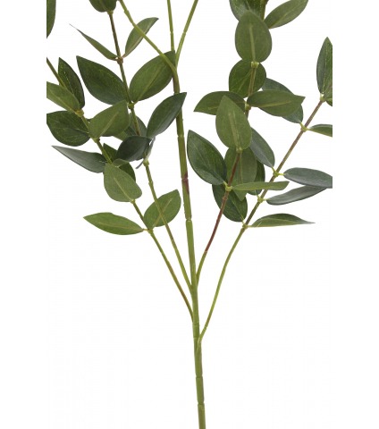 Feuille d'eucalyptus artificielle