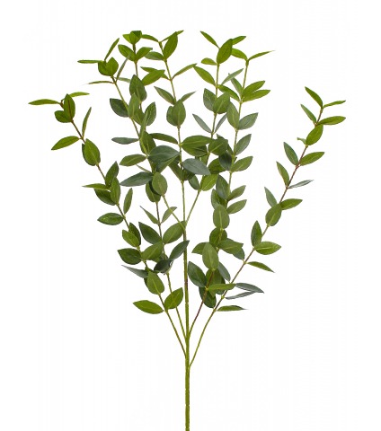 Feuille d'eucalyptus artificielle