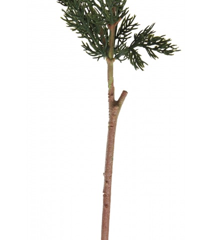 Branche de thuya artificielle