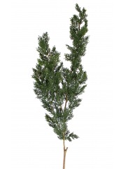 Branche de thuya artificielle