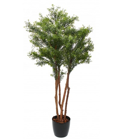 Eucalyptus artificiel cinq troncs