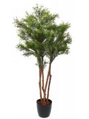 Eucalyptus artificiel cinq troncs