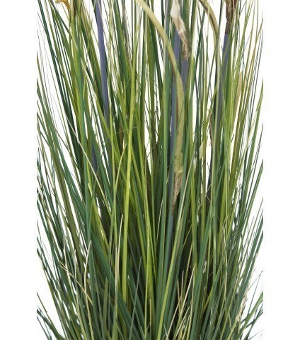 Jonc des chaisiers glauque artificiel