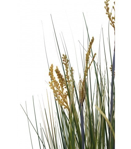 Jonc des chaisiers glauque artificiel