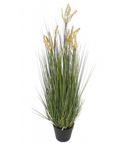 Jonc des chaisiers glauque artificiel