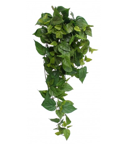 Chute de scindapsus artificielle