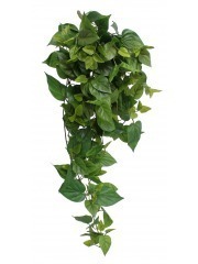 Chute de scindapsus artificielle