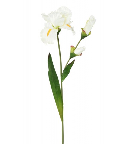 Grand iris artificiel blanc