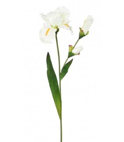 Grand iris artificiel blanc