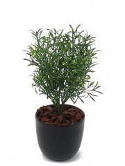 Arbre à thé artificiel