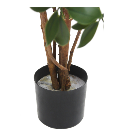 Pot