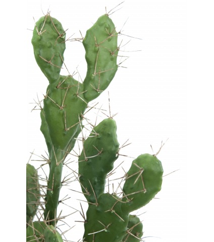 Cactus plat artificiel