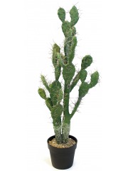 Cactus plat artificiel