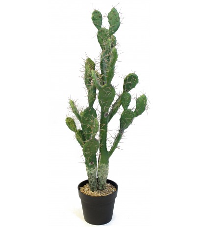 Cactus plat artificiel