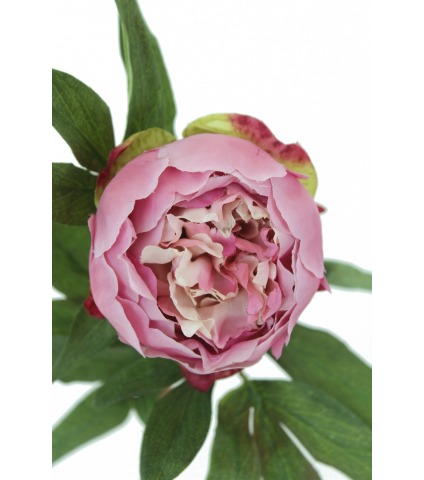 Cœur de pivoine artificielle