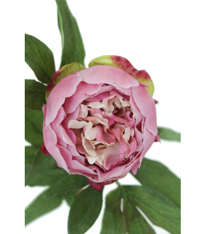 Cœur de pivoine artificielle