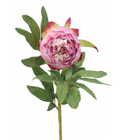 Cœur de pivoine artificielle