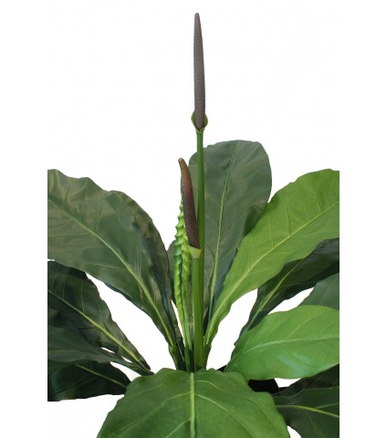 Anthurium artificiel vert