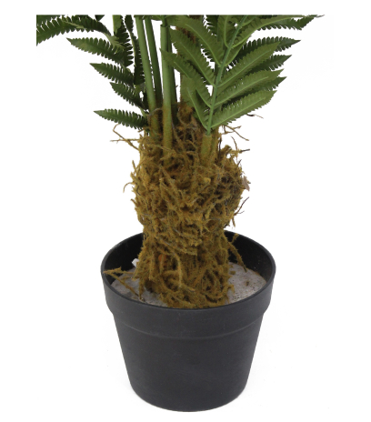 Pot