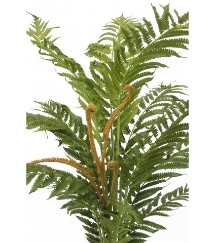 Grande fougère pensylvanica artificielle