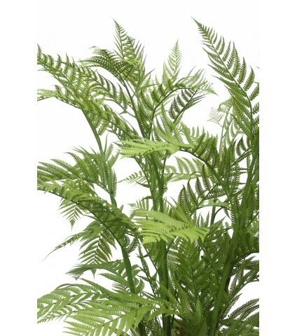 Grande fougère dicksonia artificielle