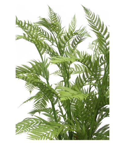 Grande fougère dicksonia artificielle