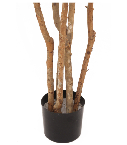 Pot