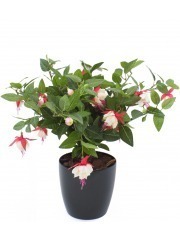 Chute de fuchsia artificielle rouge