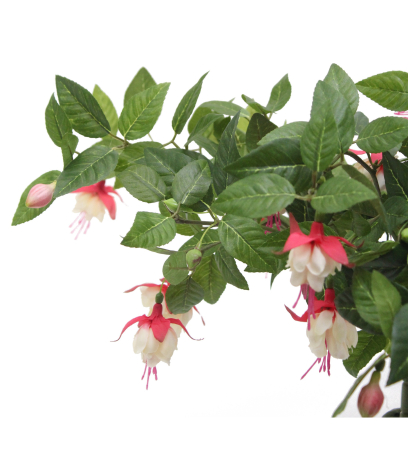 Chute de fuchsia artificielle rouge