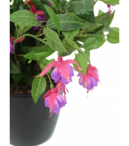 Chute de fuchsia artificielle
