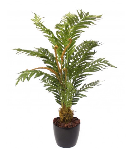 Grande fougère pensylvanica artificielle