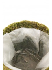 Gukasxi Mousse de forêt séchée pour plantes en pot - Décoration de