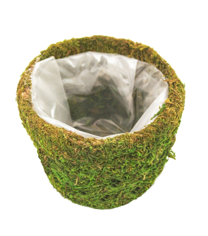 Cache-pot en mousse