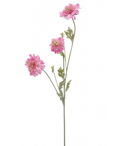 Scabieuse artificielle rose