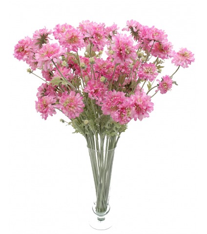 Scabieuse artificielle rose