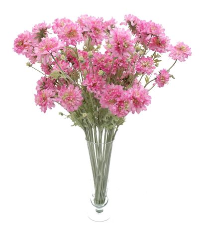 Scabieuse artificielle rose
