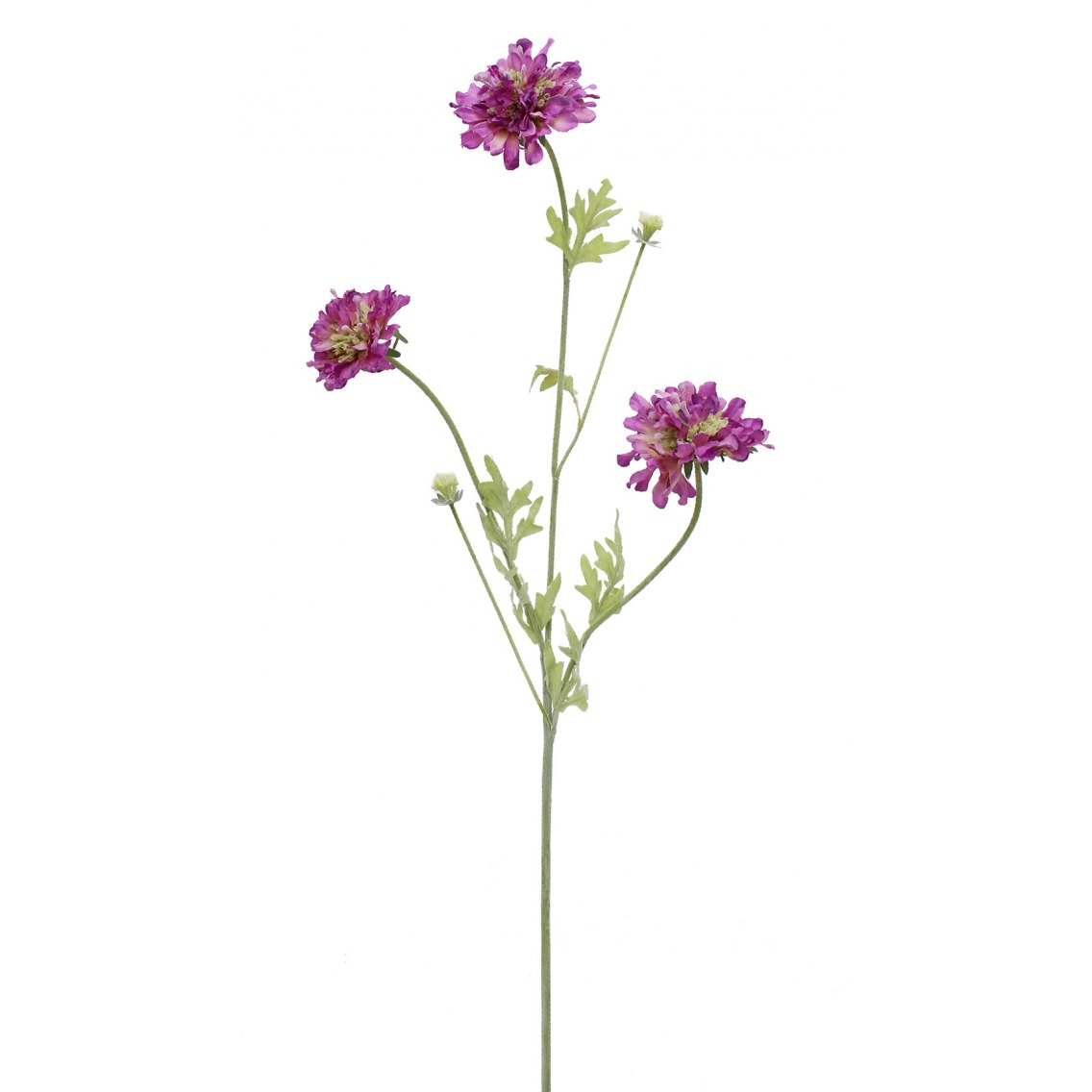 Scabieuse artificielle violette 75 cm - Fleurs artificielles champêtres -  Artiplantes