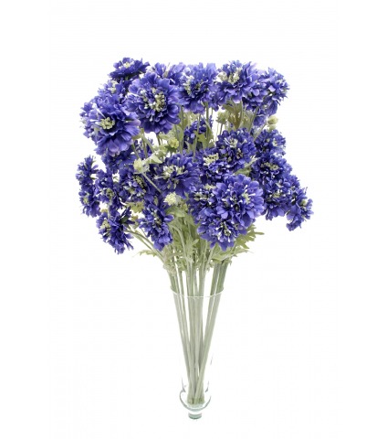 Scabieuse artificielle bleue