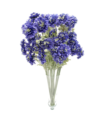 Scabieuse artificielle bleue