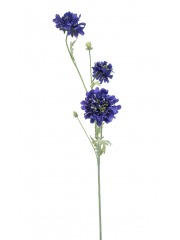 Scabieuse artificielle bleue