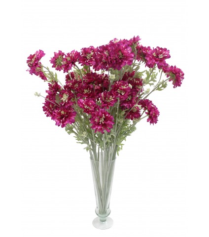 Scabieuse artificielle mauve
