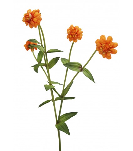 Zinnia artificiel orange