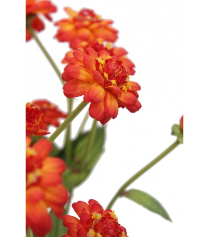 Zinnia artificiel rouge