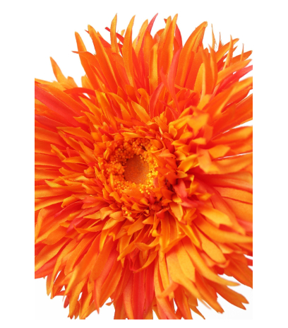 Grand gerbera artificiel orangé